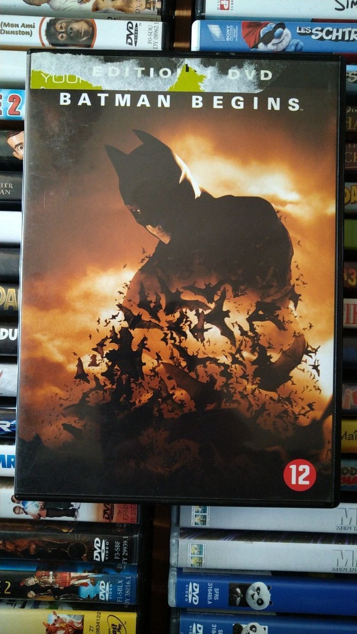 Batman begins