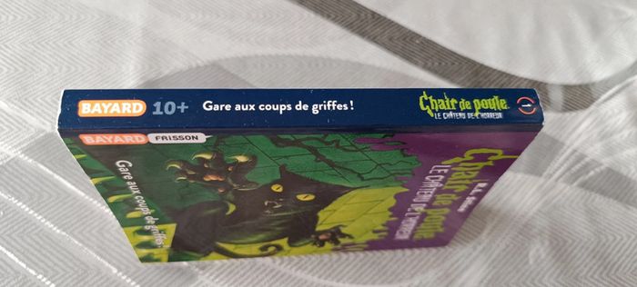 Livre chair de poule - photo numéro 3