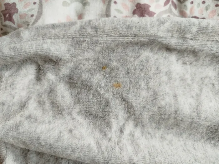 Lot de bas de pyjama - photo numéro 3