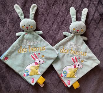 Lot de 2 Doudous plat Lapin livre - L heure des bisous - Hachette