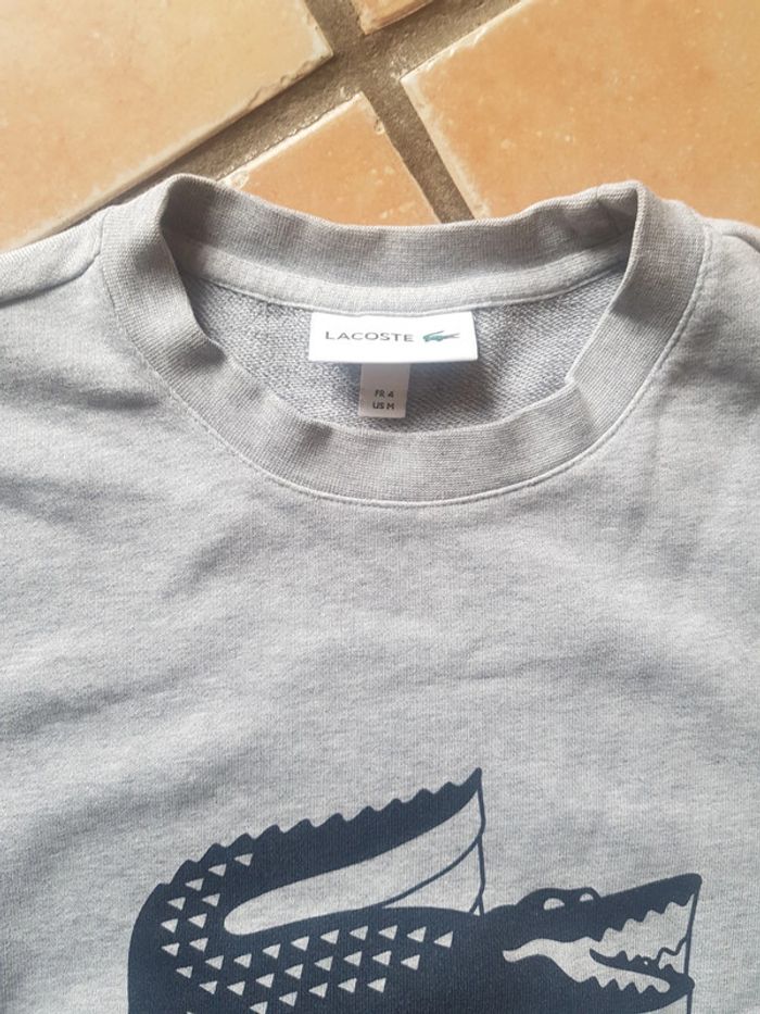 Sweat Lacoste - photo numéro 2