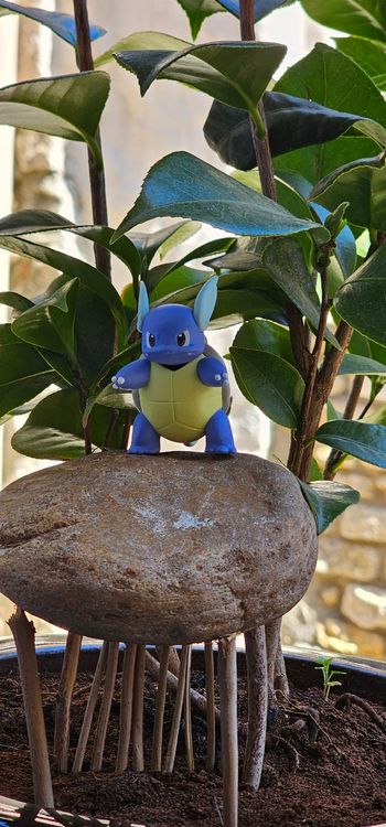 Super figurine Pokemon Nintendo scale world Carabaffe 