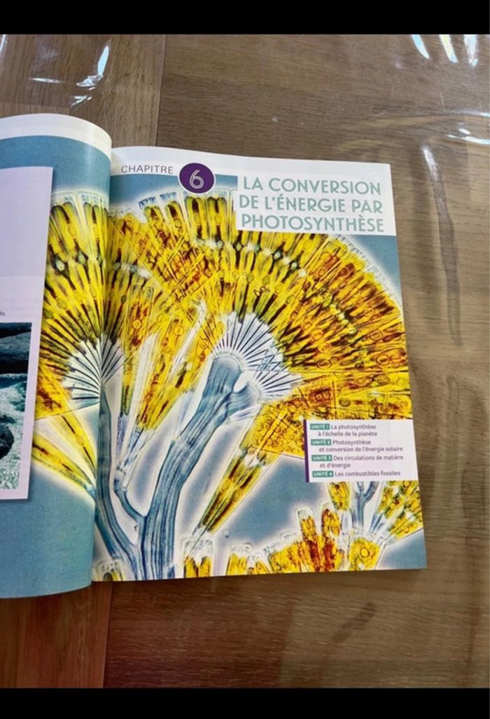 Livre scientifique 1ere Belin - photo numéro 3