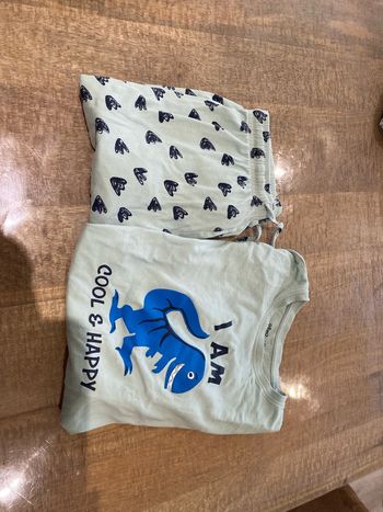 Pyjama dinosaure manches longues