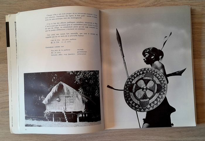 Des Hommes debout - Paul L. Seith les montagnards du sud-viêtnam - photo numéro 8