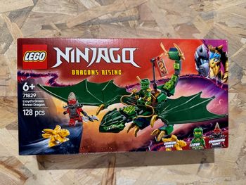 LEGO 71829 - Le dragon vert de la forêt de Lloyd