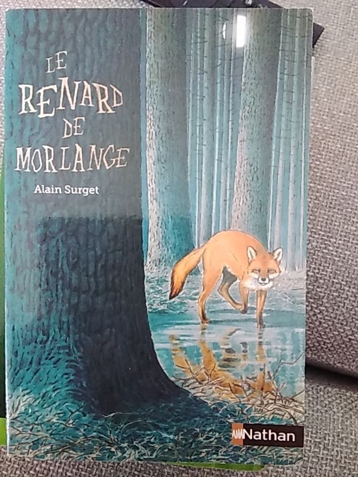 Livre pour enfant 10 ans