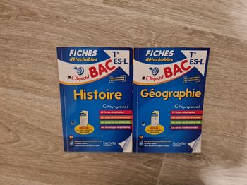 Lot de 2 fiches détachables Terminal Économique et Social