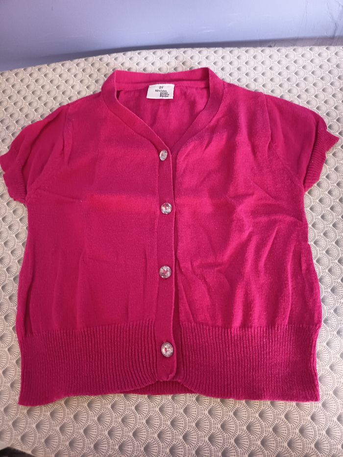 Lot de vêtements 24 mois - photo numéro 2