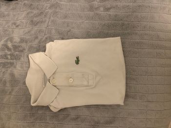 Polo Lacoste 🐊
