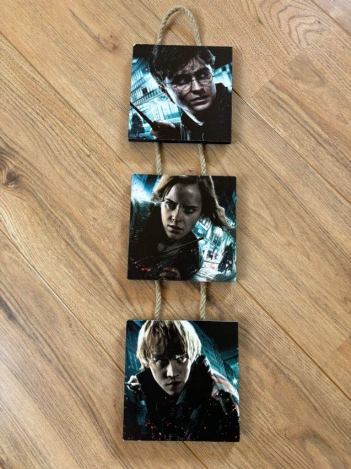 Cadrées triptyques HARRY POTTER