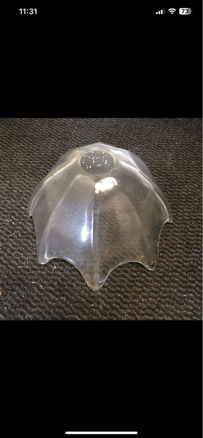 Coupe à fruits - photo numéro 2