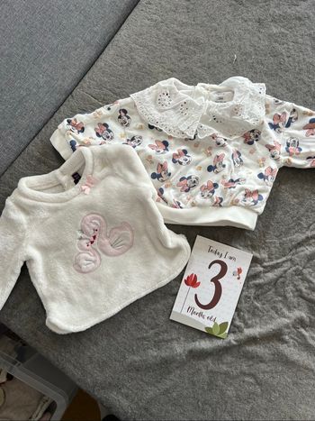 Pulls Disney et sergent major