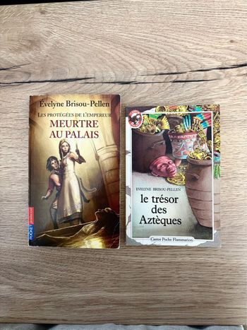 Lot de livres pour enfants