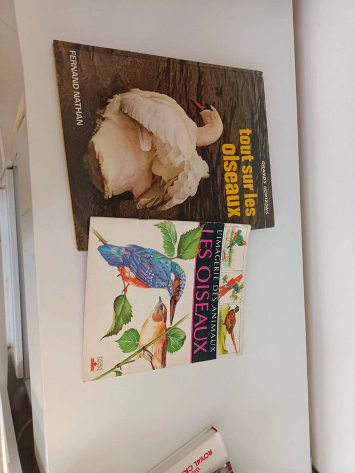 Tout sur les oiseaux