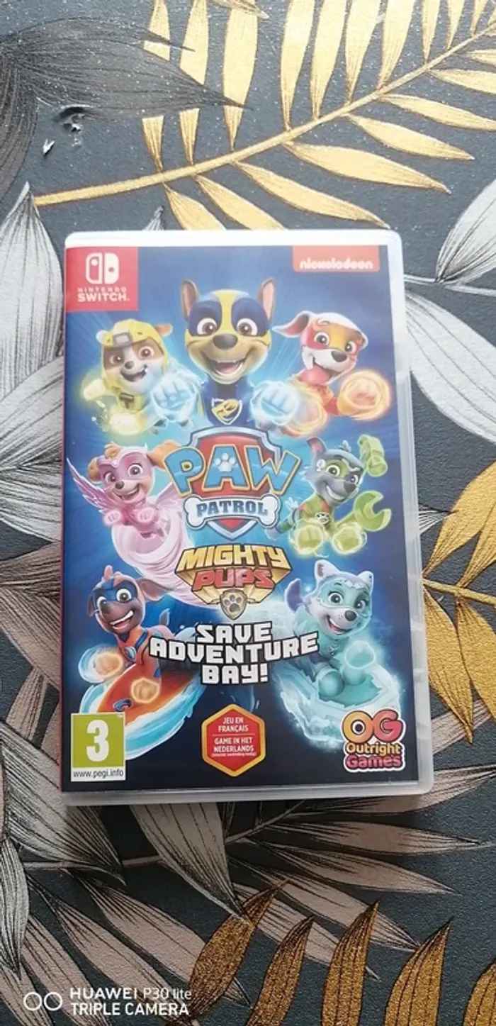 Jeux switch pat patrouille
