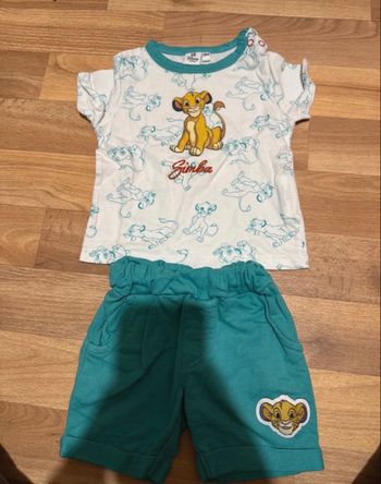 Ensemble le roi lion 3mois