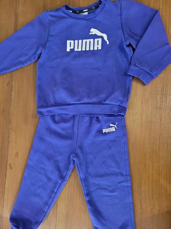 Ensemble puma 