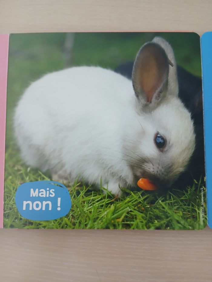 Livre enfant les animaux de la ferme tres bonne etat - photo numéro 10