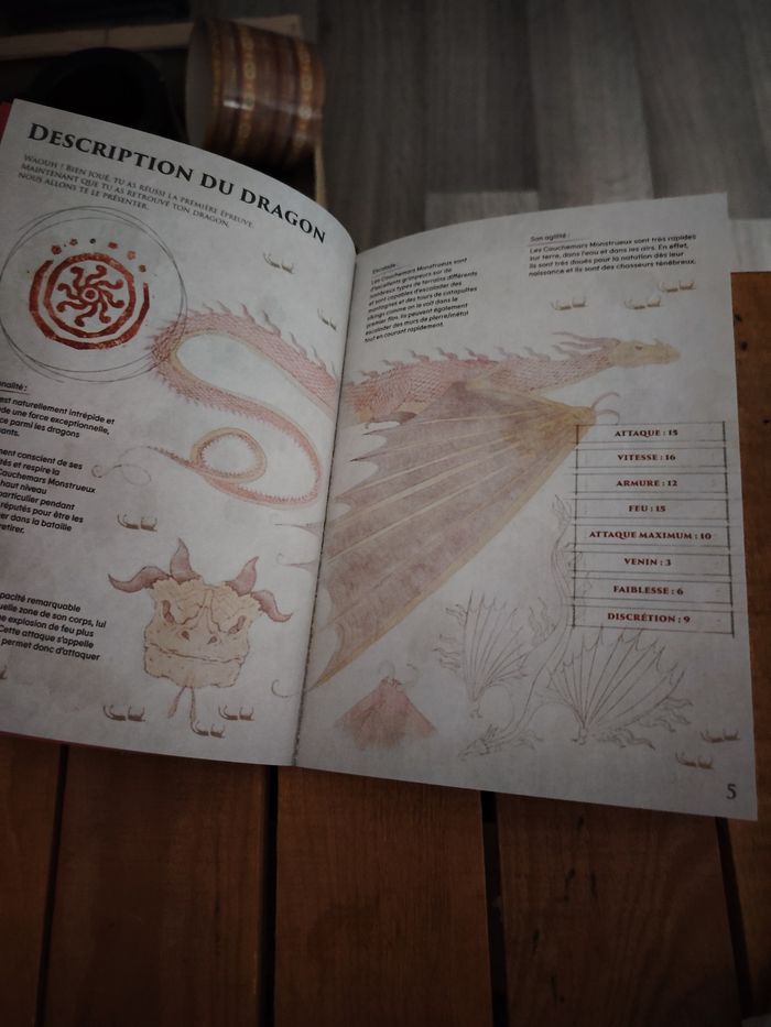 Mon livre d'activité - photo numéro 3