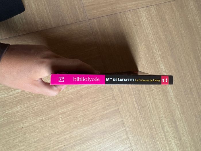 Livre la princesse de Clèves - photo numéro 2