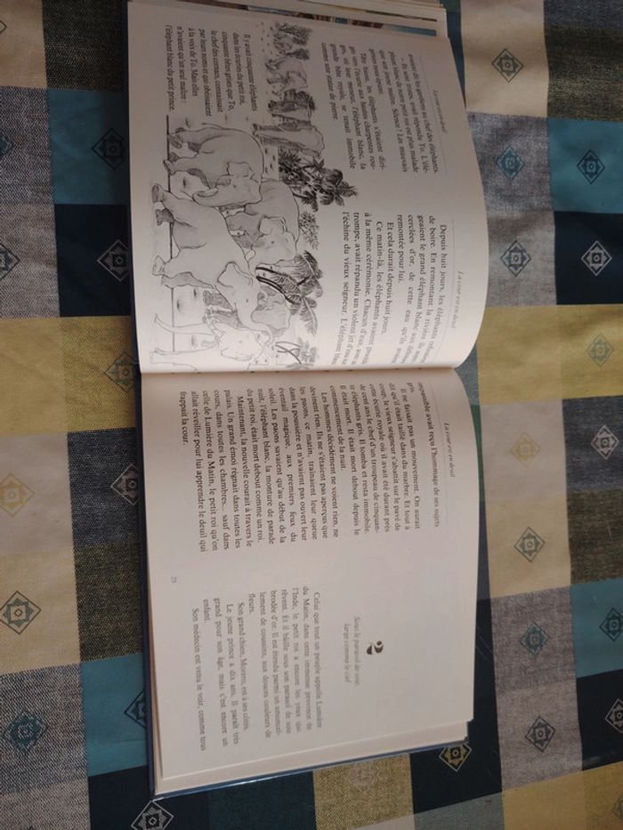 Livre sur l'éléphant - photo numéro 11