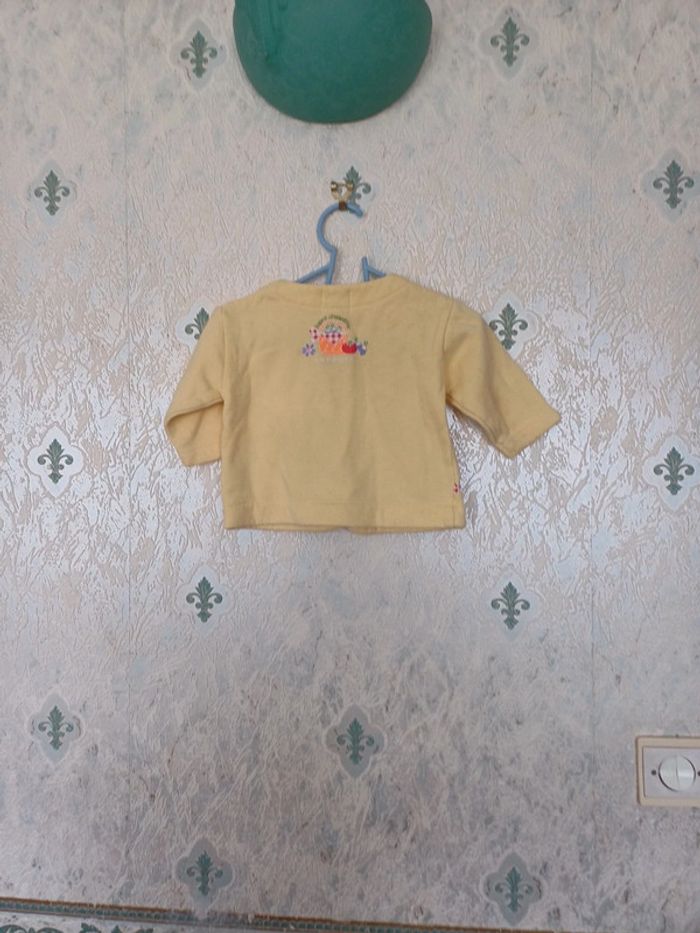 Gilet jaune 6 mois  fruit - photo numéro 2