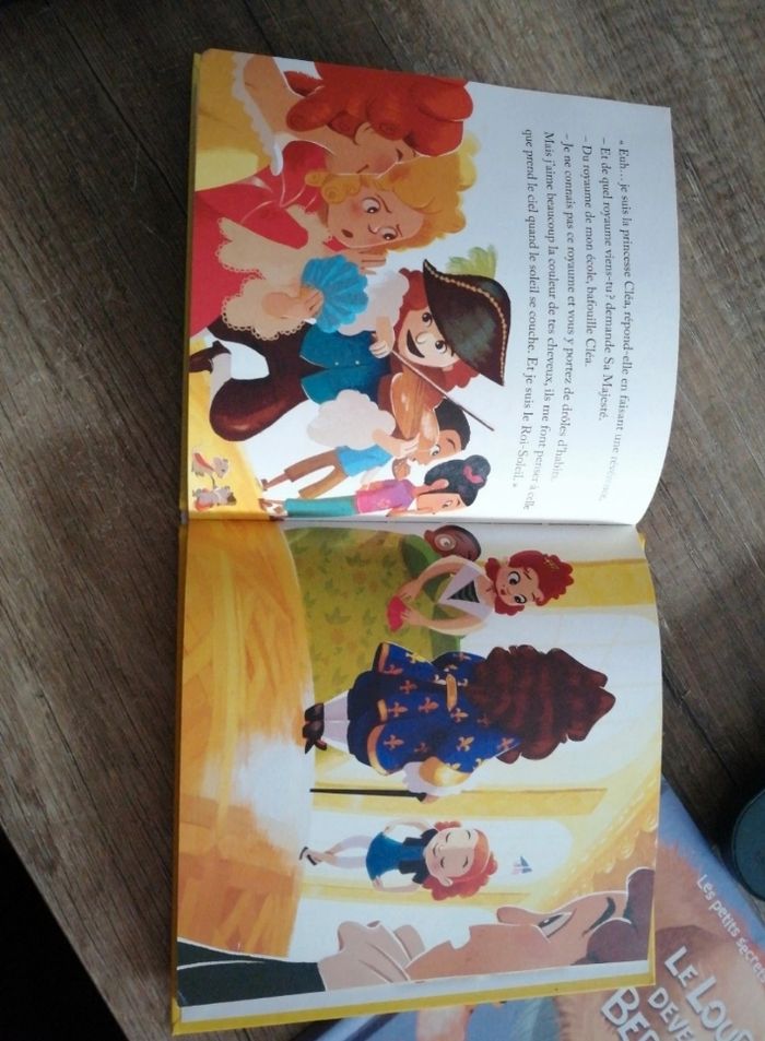 Livre la perruque du roi soleil - photo numéro 3