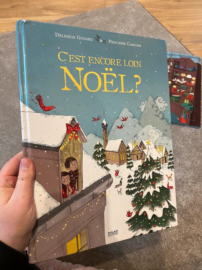 Livre c’est encore loin Noël ? - photo numéro 2