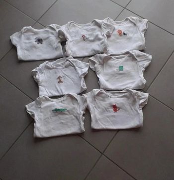 Lot 7 bodies manches courtes 6-9 mois