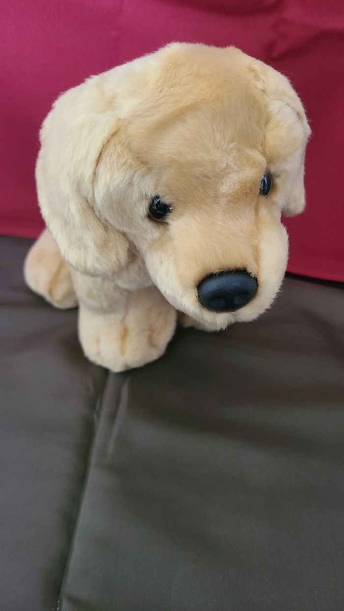 peluche chiot labrador ami plush - photo numéro 8