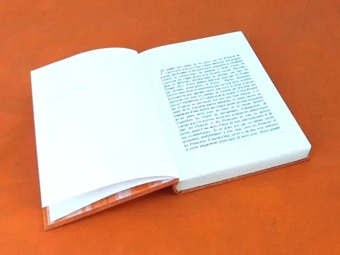 Rémy Compagnons de l' Honneur Illustrations de Michel Jouin (1967) - photo numéro 7