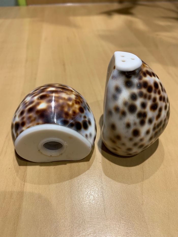 Salière et poivrière en coquillage - photo numéro 3