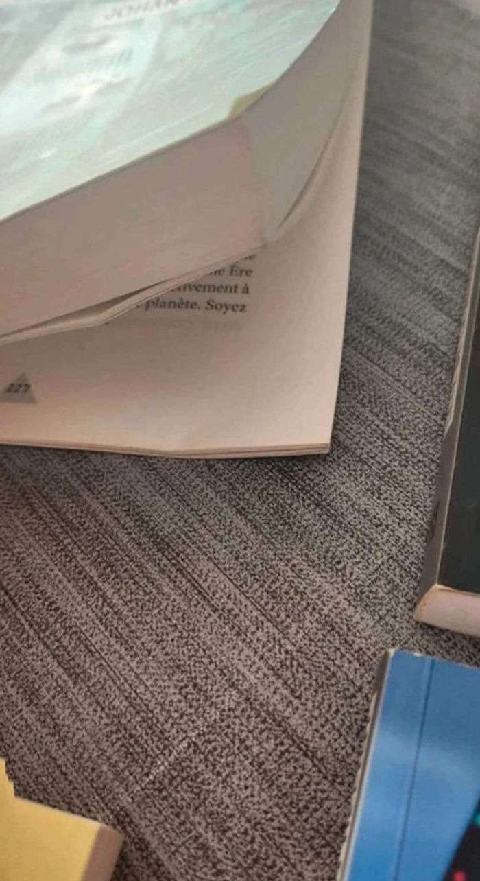 Livres intelligence artificielle - photo numéro 4