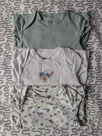 Lot 3 bodies ML TAO 36 mois