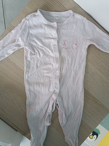 Pyjama rose