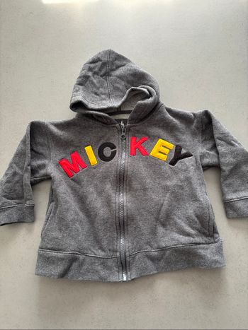 Sweat zippé à capuche gris Disneyland