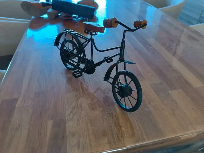 Décoration vélo - photo numéro 2