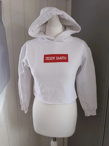 Sweat à capuche Teddy Smith