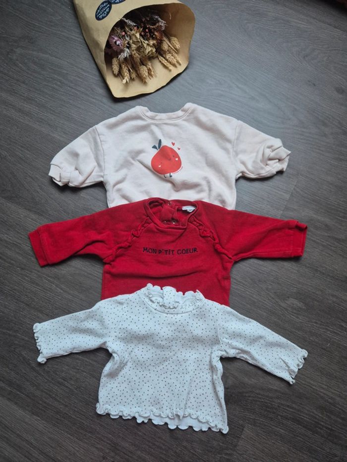 Magnifique lot de 2 sweats et 1 t-shirt 3 mois