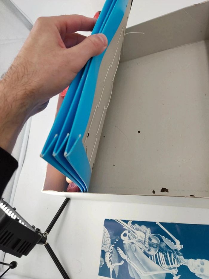 L'anatomie / Corps Humain / 1987 vintage Laffont semble complet voir photos - photo numéro 11