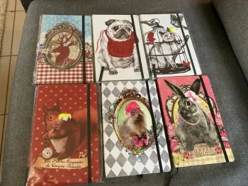 Lot 6 cahiers carnets Orval création format A5