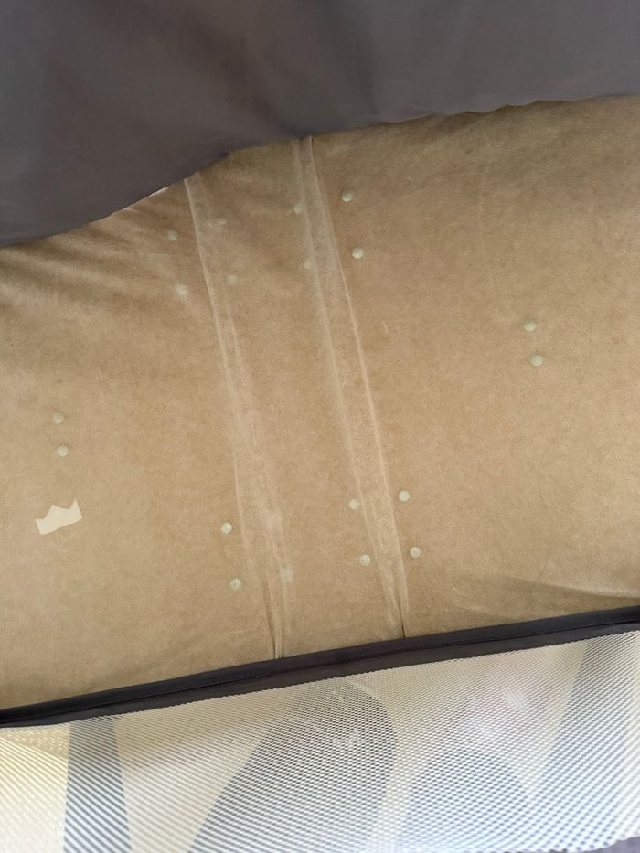 Berceau parapluie premaman - photo numéro 4