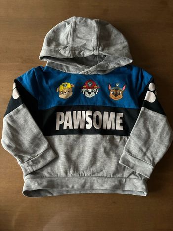 Sweat à capuche Pat Patrouille
