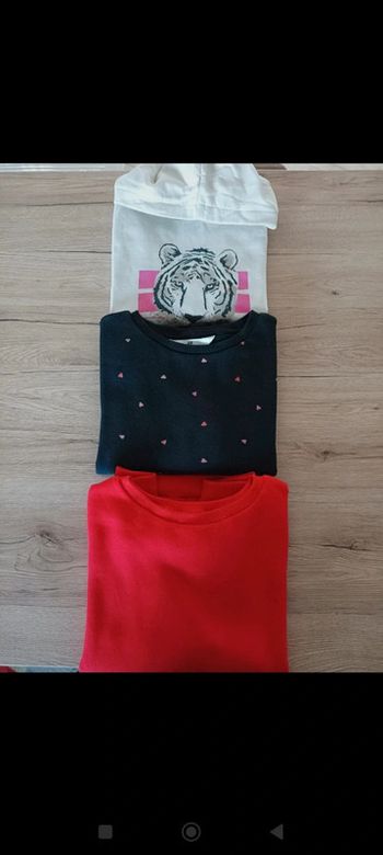 Pulls 8/10 ans