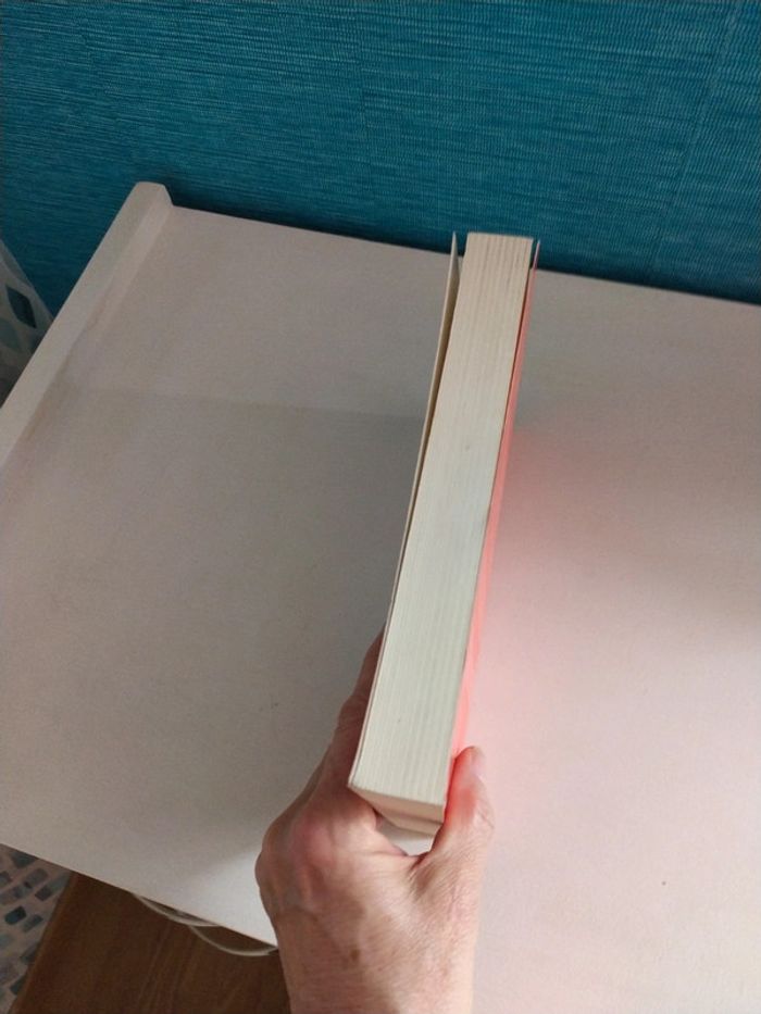 Frères Sœurs de Pouvoir par Katia Chapoutier - photo numéro 5