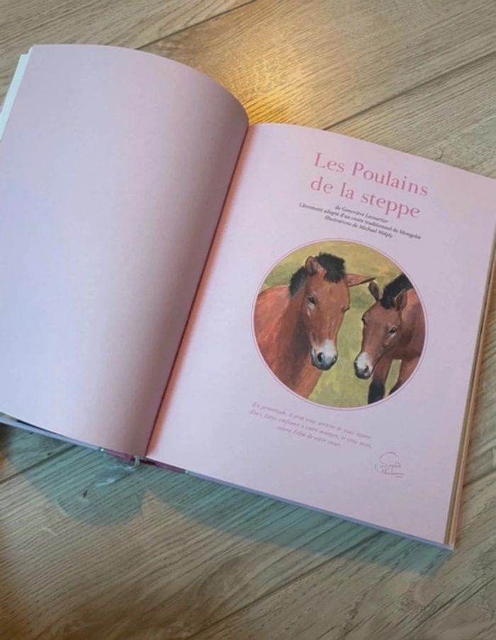 Livre « Mes 15 plus belles histoires de chevaux » - photo numéro 3