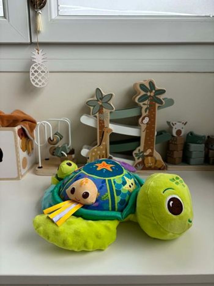 Juju la tortue - photo numéro 7