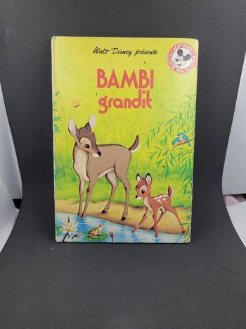 Bambi grandit