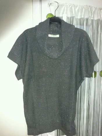 Pull d'hiver gris pailleté .col roulé. Manches courtes taille 38